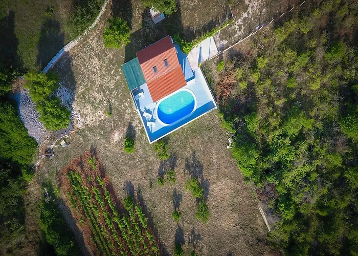 Tatil Evi House Baras Garden