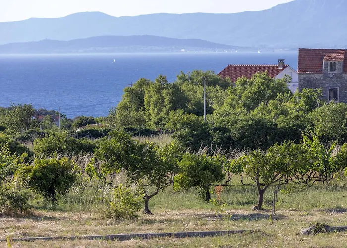 Tatil Evi House Baras Garden